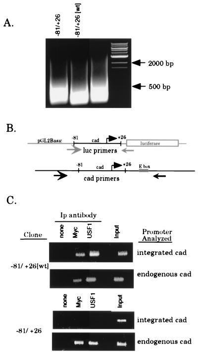 FIG. 5