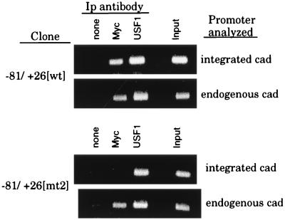 FIG. 6