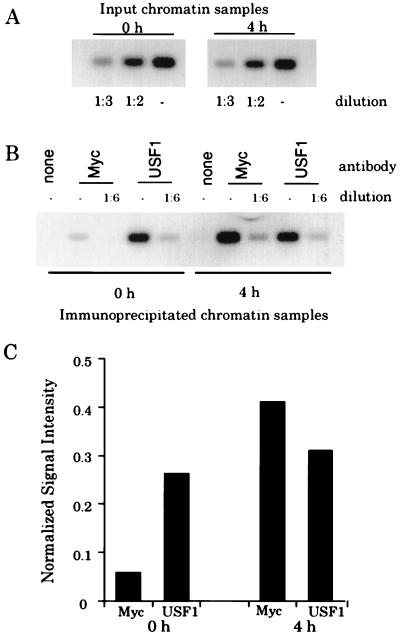 FIG. 1