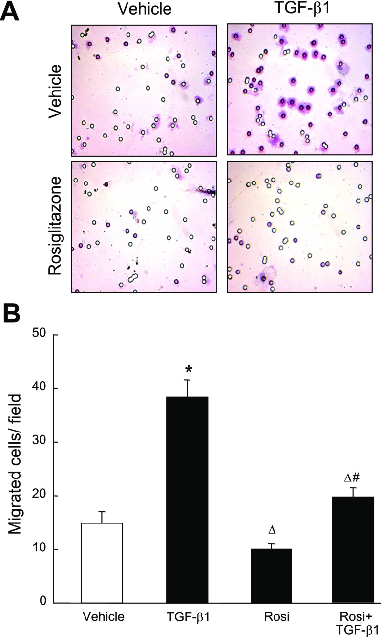 Fig. 8.