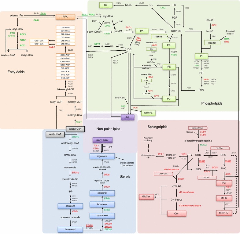 Fig. 1