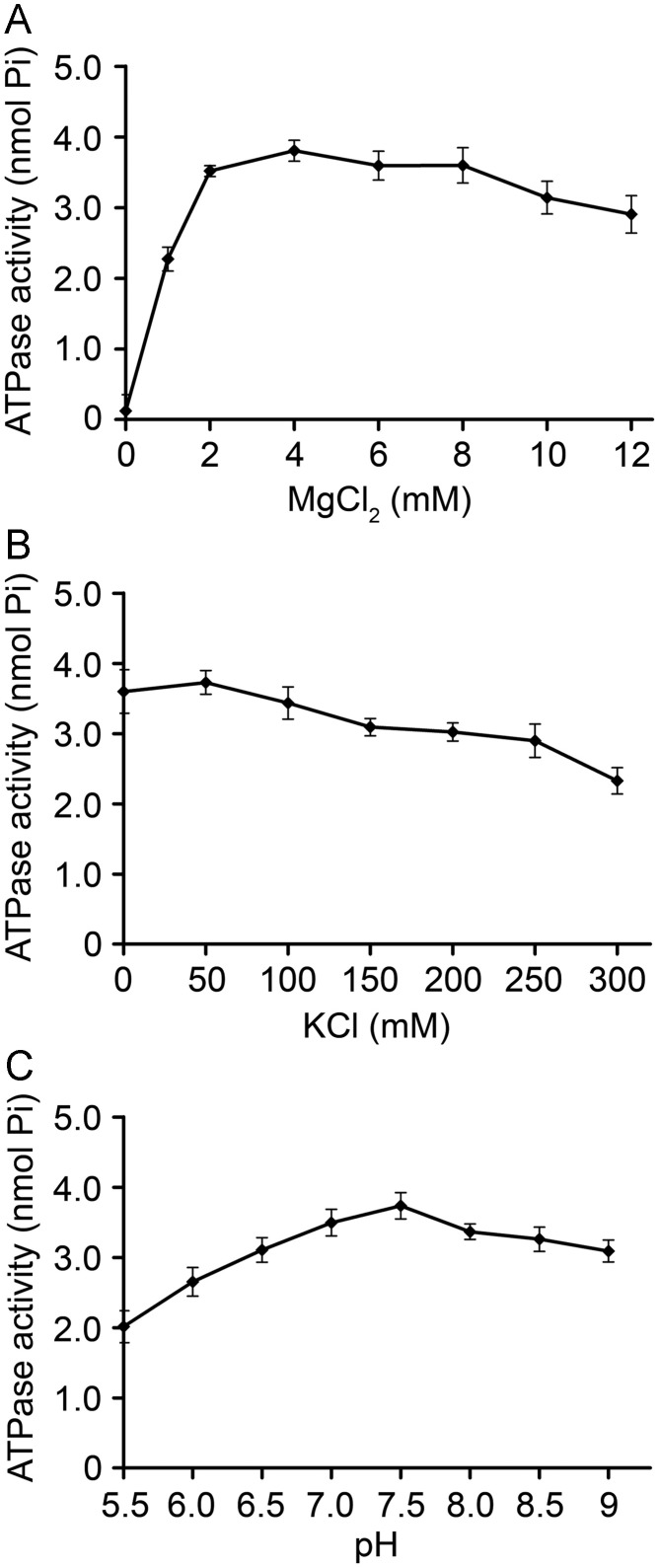 Fig. 5