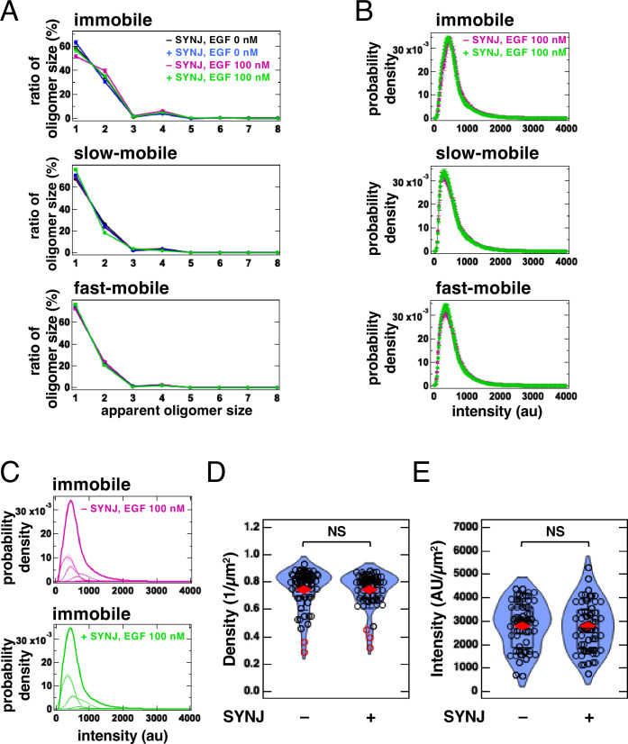 Figure 4—figure supplement 1.