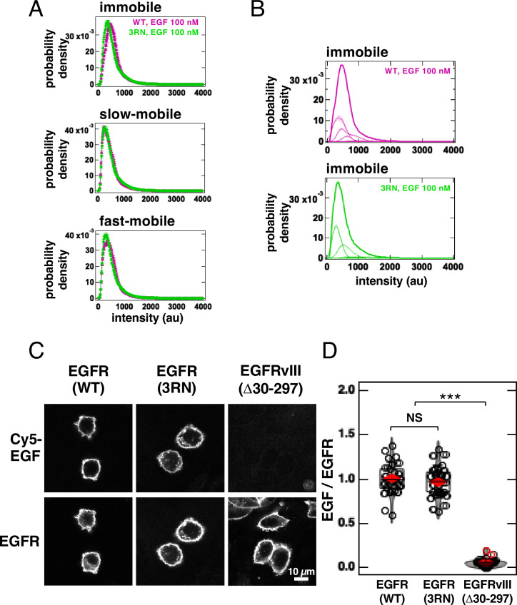 Figure 4—figure supplement 2.