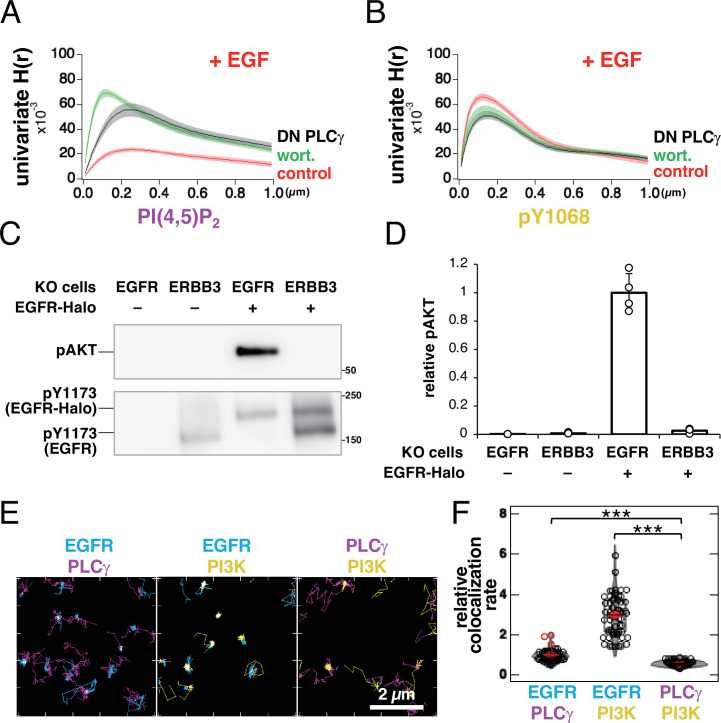 Figure 6—figure supplement 1.