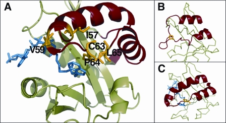 FIGURE 2.