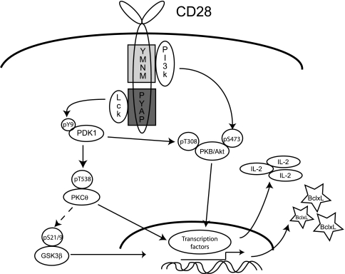 FIG. 9.