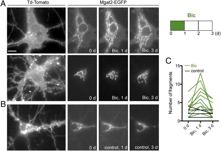 Fig. 4.