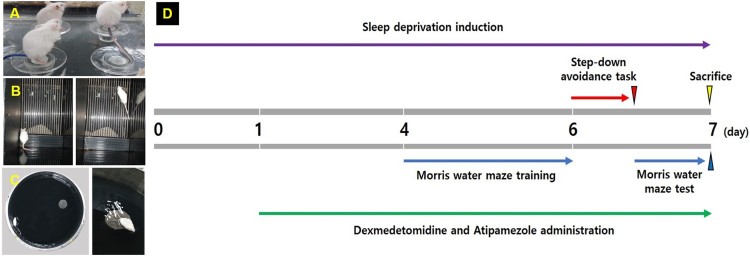 Figure 2.