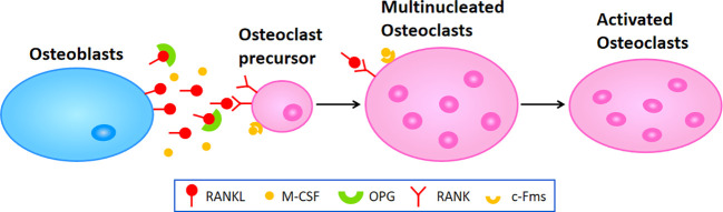 Figure 1