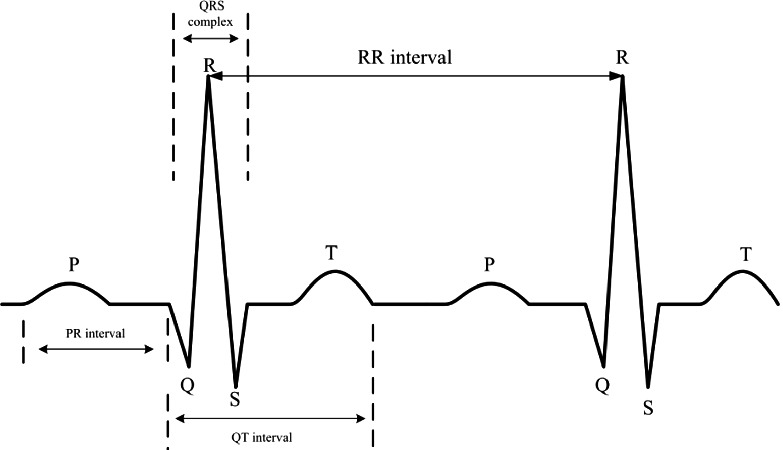 Fig. 1.
