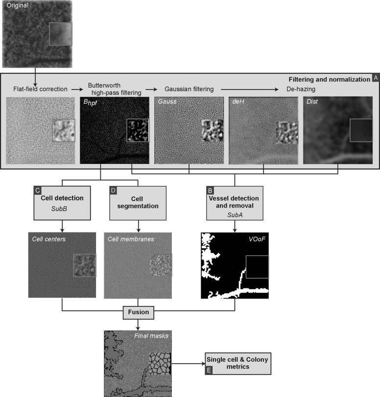 Fig. 1