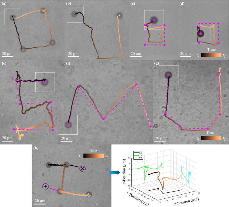 Fig. 2