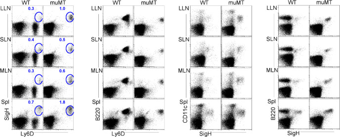 Figure 2—figure supplement 1.