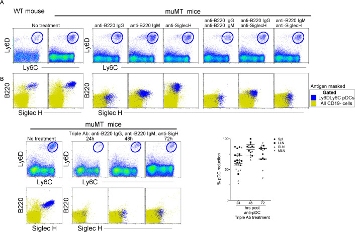 Figure 3—figure supplement 2.