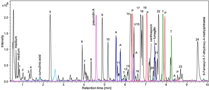 Figure 5