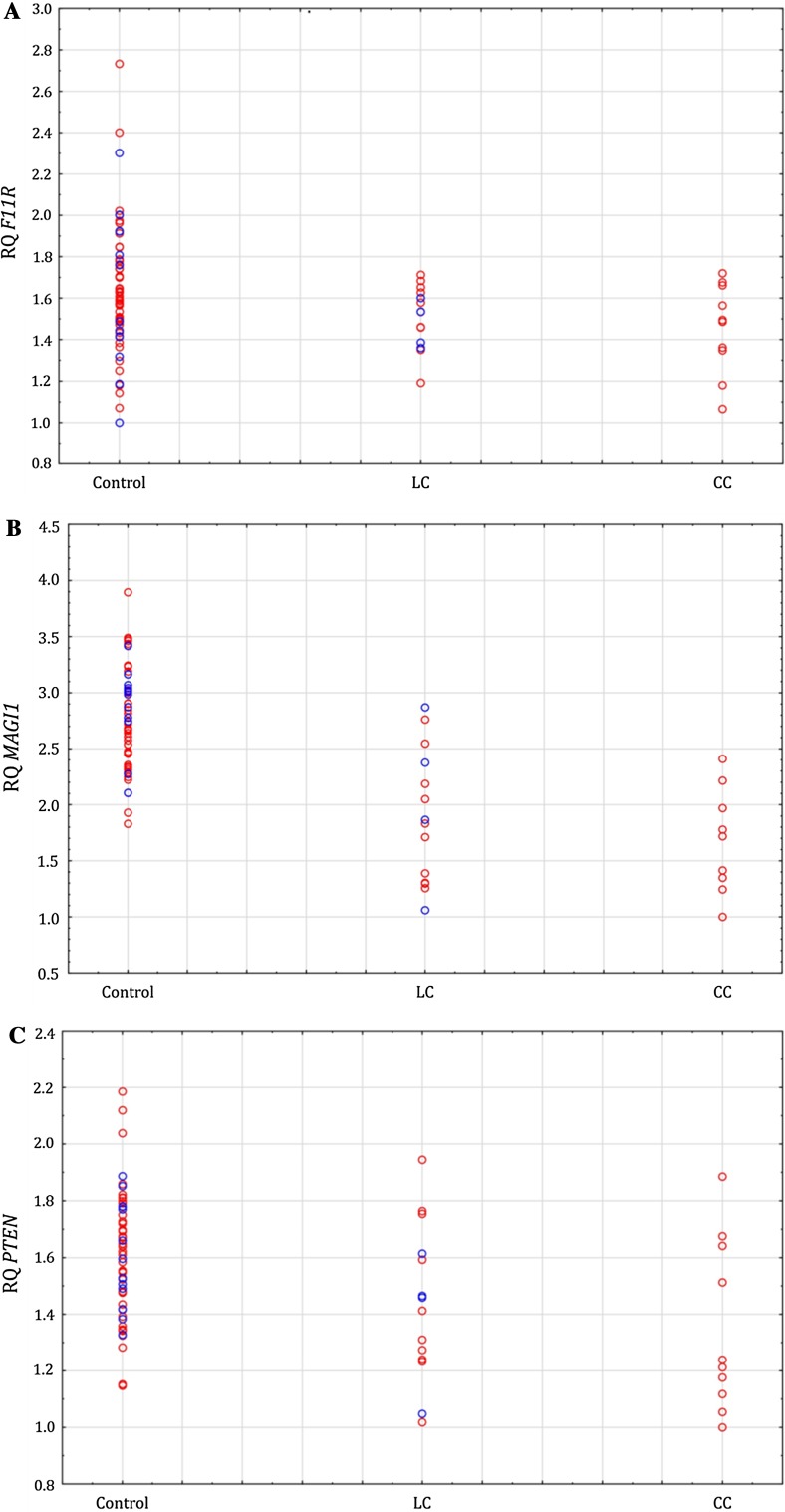 Fig. 2