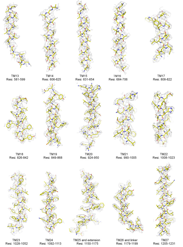Figure 2—figure supplement 2.