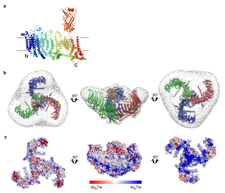 Figure 4.