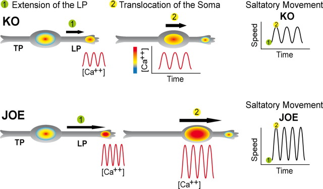 Figure 11.