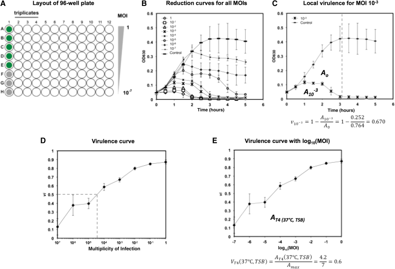 FIG. 1.