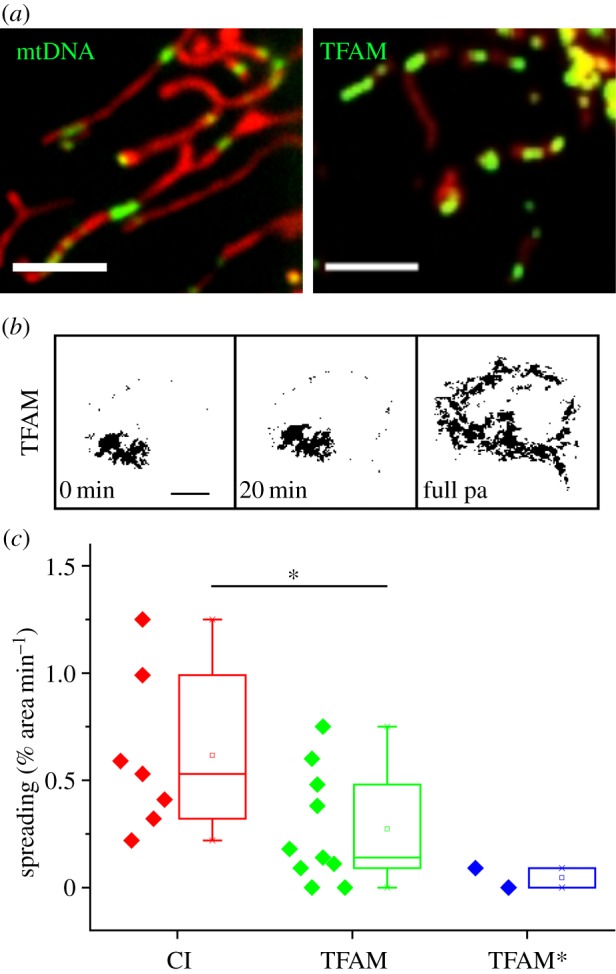 Figure 3.