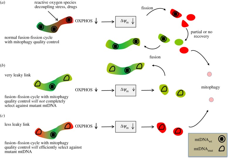 Figure 6.