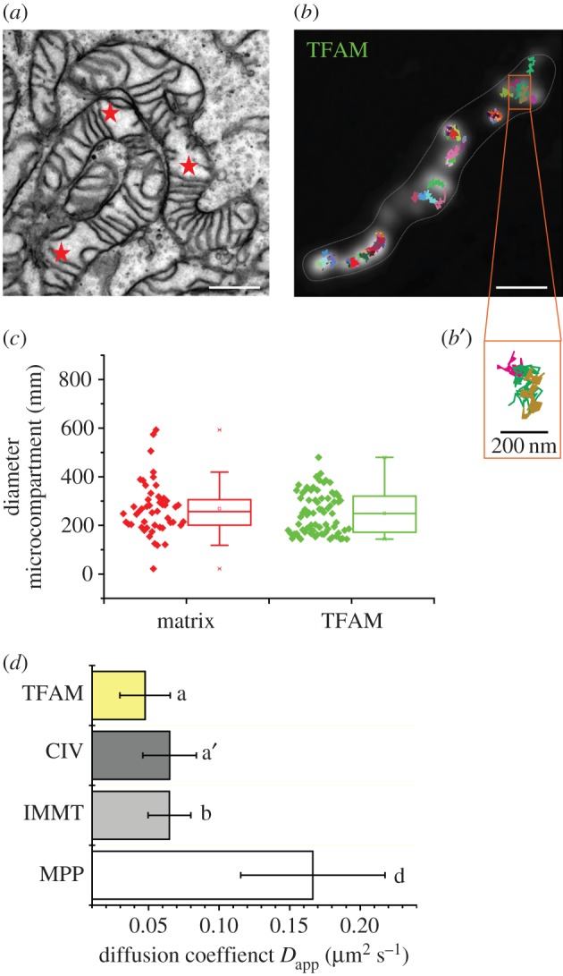 Figure 4.