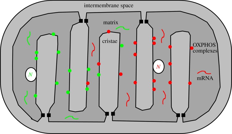 Figure 5.