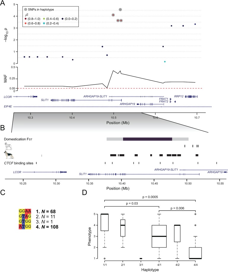 Fig 3