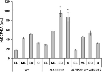 Fig. 6