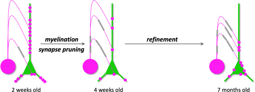 Figure 7.