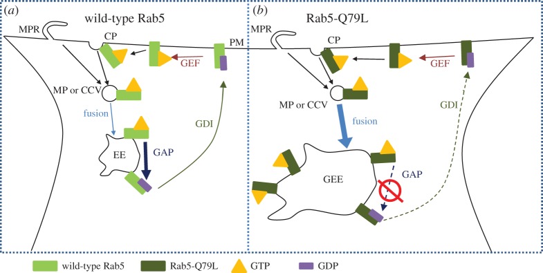 Figure 5.