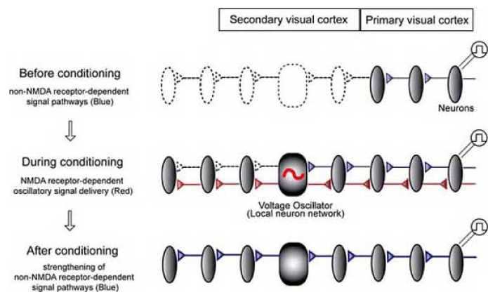 Fig. (2)