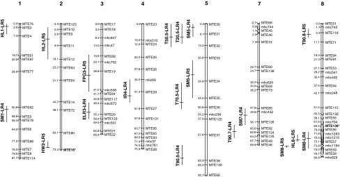 Fig. 1