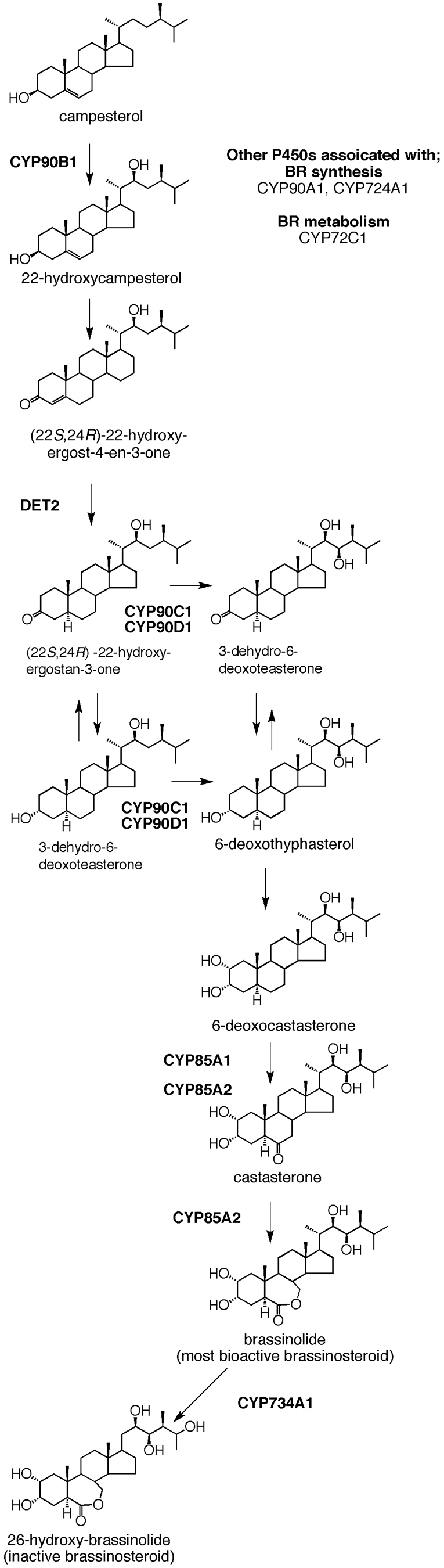 Figure 33.