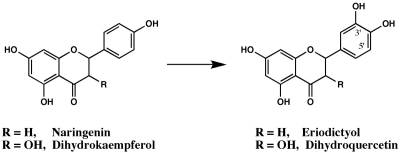 Figure 17.