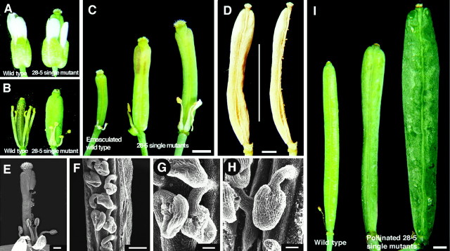 Figure 24.