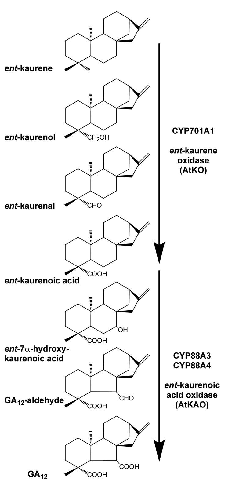 Figure 37.