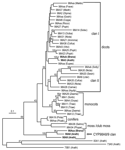 Figure 46.