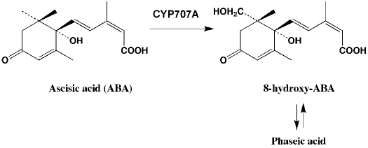 Figure 56.