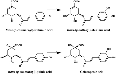 Figure 43.