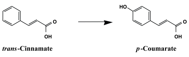 Figure 11.