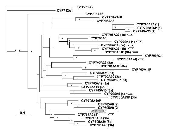 Figure 54.