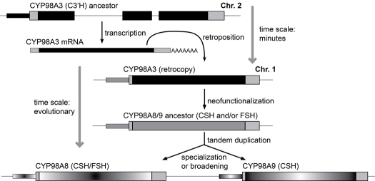 Figure 48.