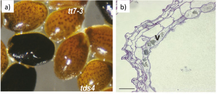 Figure 18.