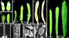 Figure 24.