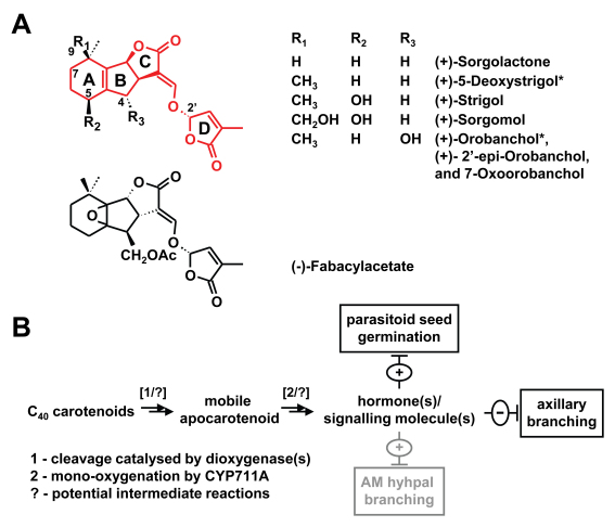 Figure 59.