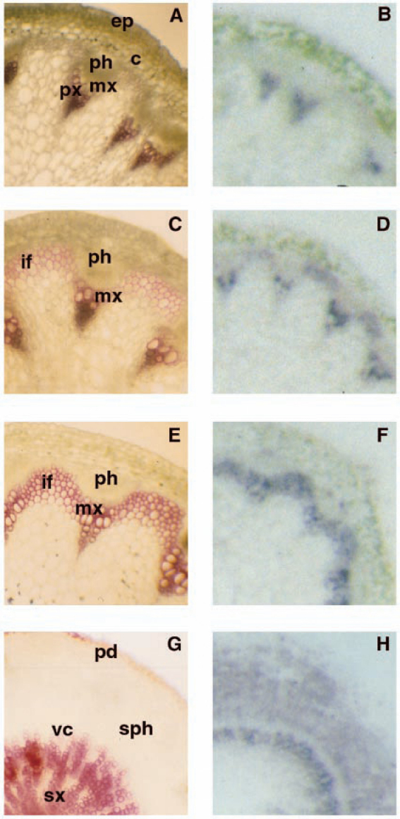 Figure 42.