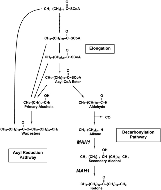 Figure 39.